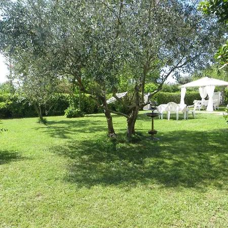 Bed & Breakfast La Mimosa Chic